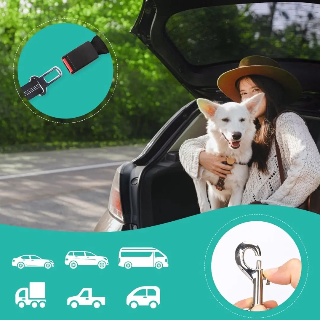 Nobleza Honden Autogordel Roze