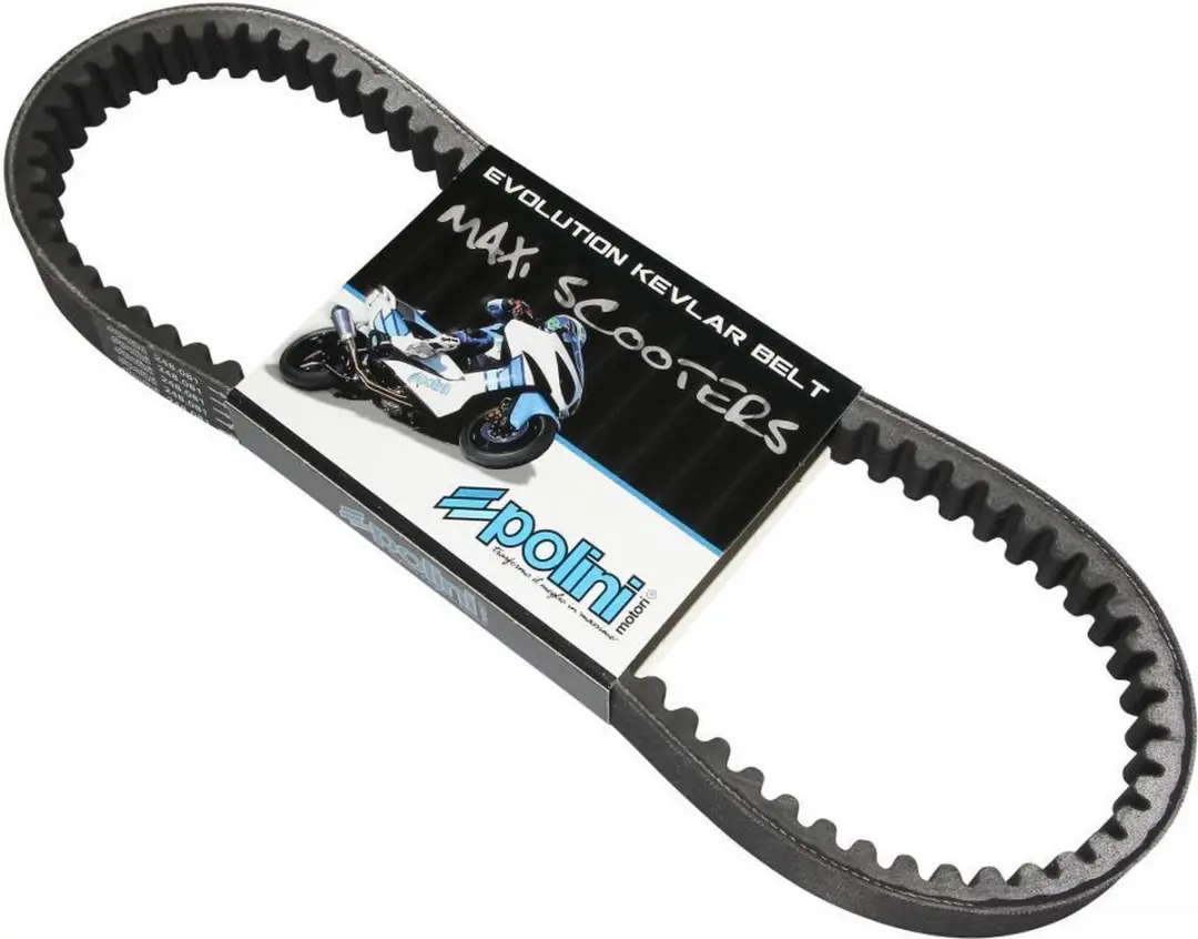 Courroie de transmission Polini pour Scooter Malaguti 125 Madison 3 Neuf