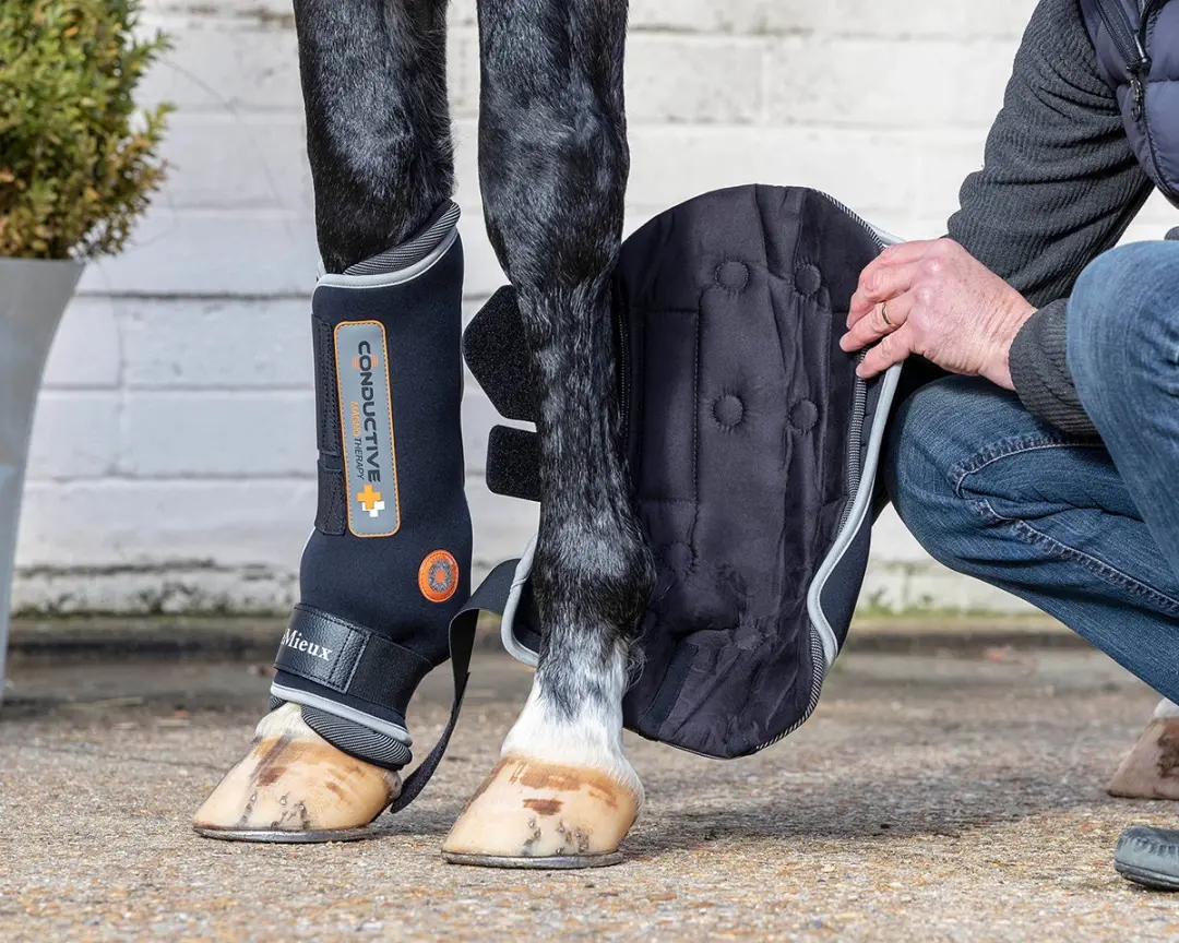 Lemieux Stalbeschermers Conductive Magno - L - Zwart