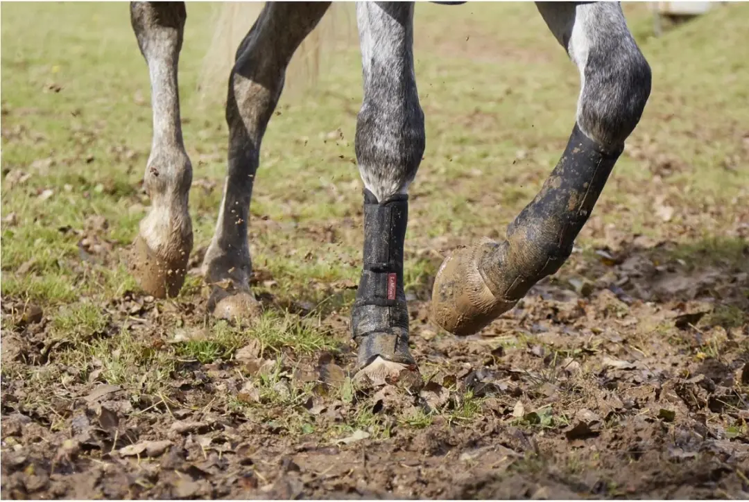 Lemieux Turnout Boots XL - Zwart