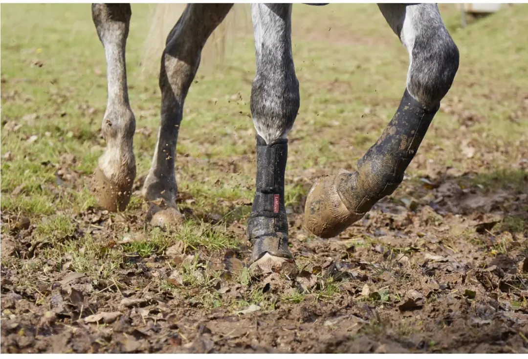 Lemieux Turnout Boots XL - Zwart