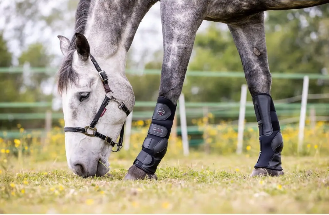 Lemieux Turnout Boots XL