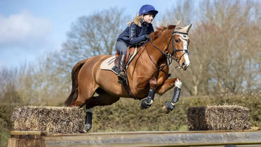 Lemieux Carbon Air XC Beenbeschermers Front - Medium - Zwart