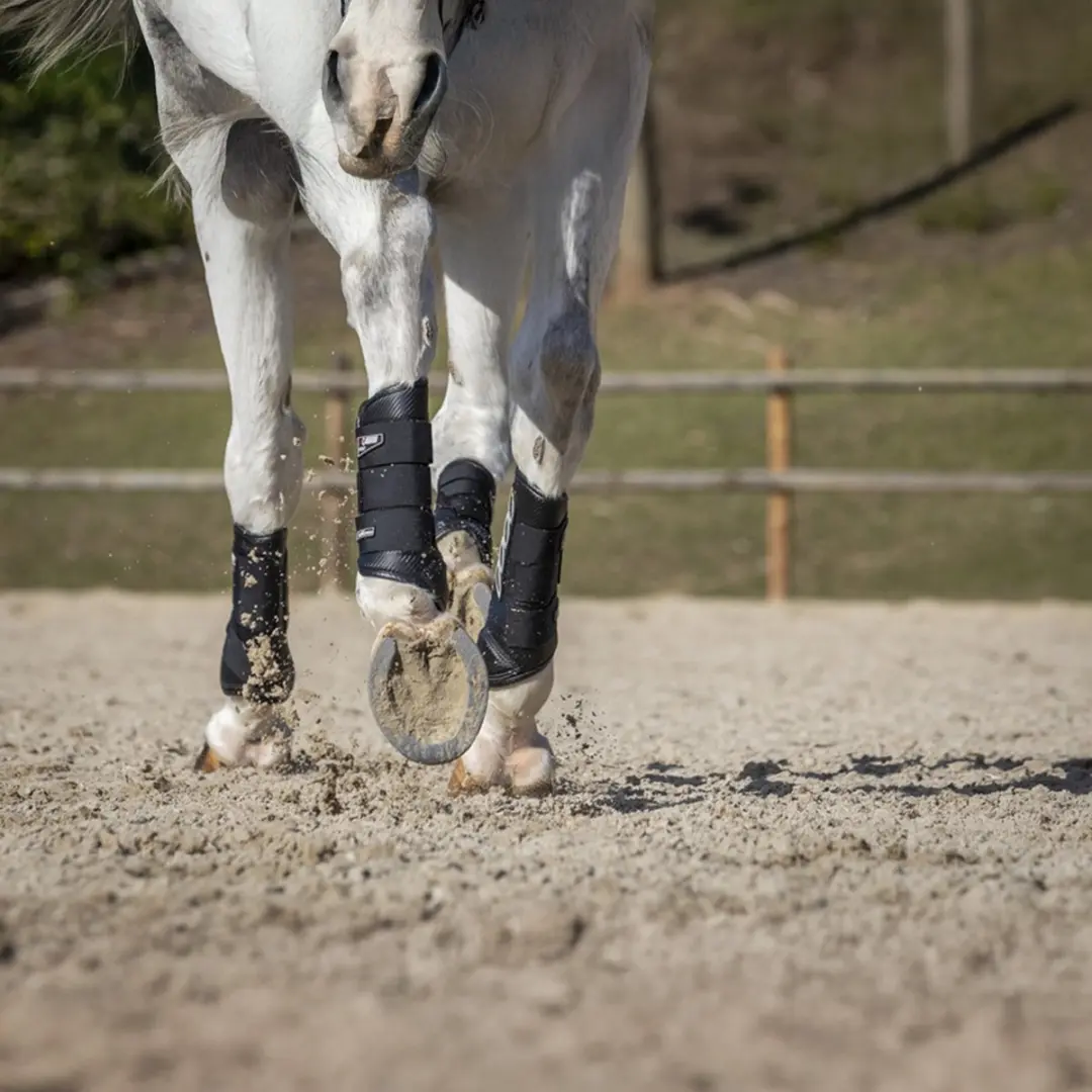 Lemieux Carbon Air XC Beenbeschermers Front - Medium - Zwart