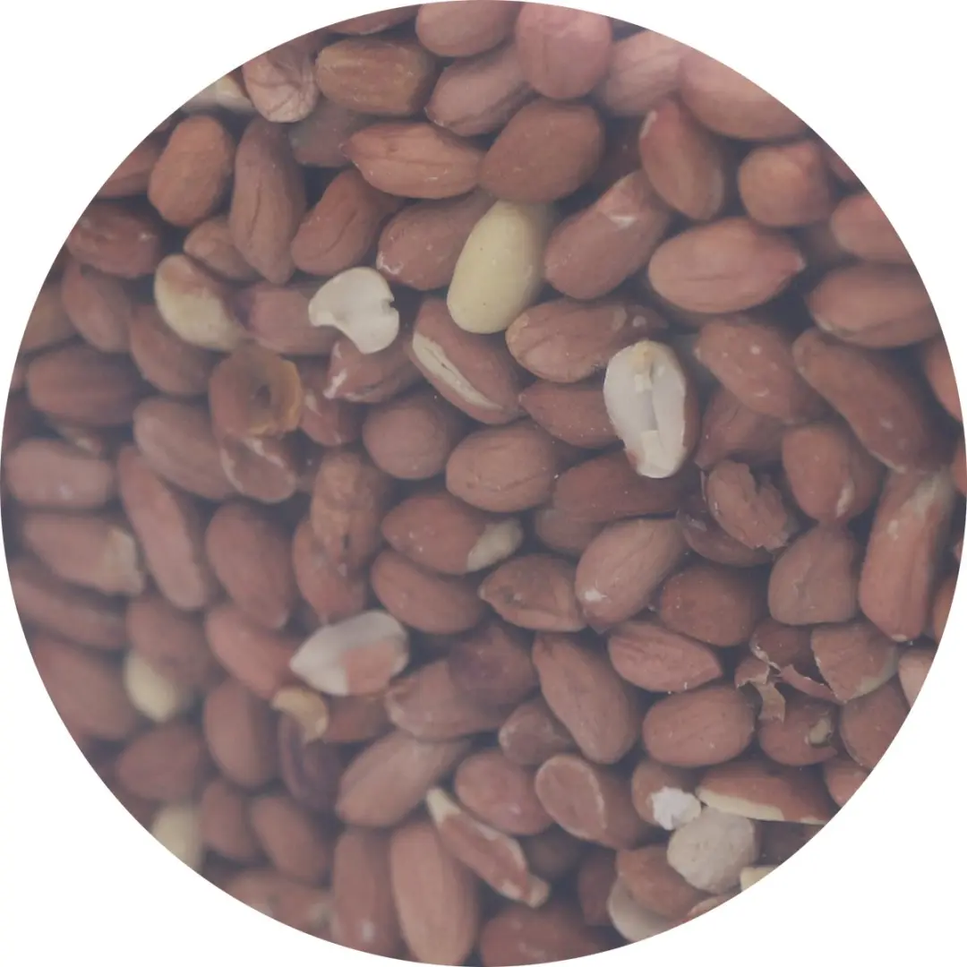 Famiflora Pinda’s Vogelvoer 5kg - Natuurlijk Energierijk