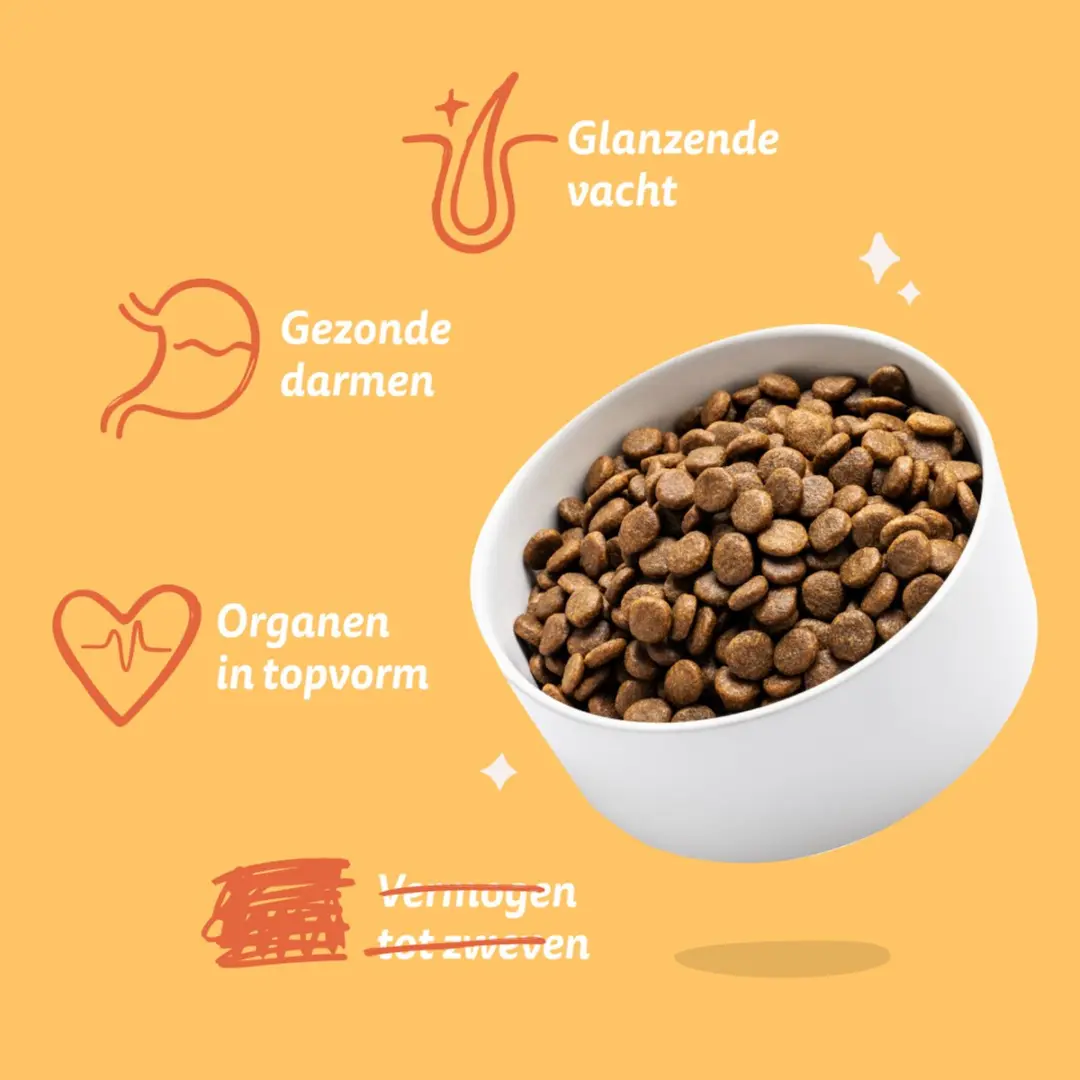 Edgard & Cooper Adult Hondenbrokken Kleine Honden Kip 700g