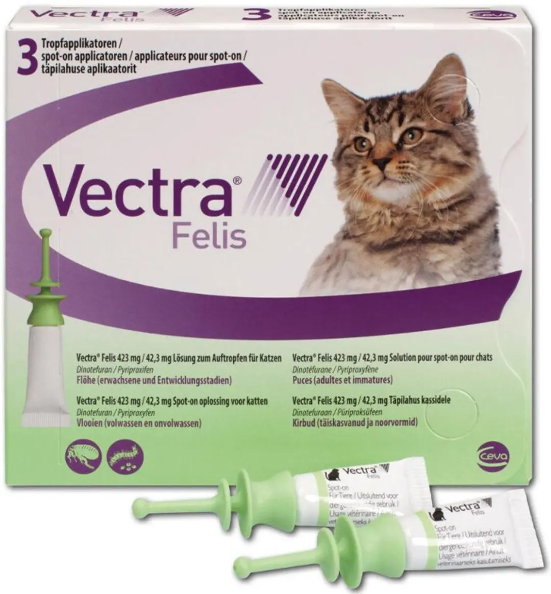 Vectra Felis