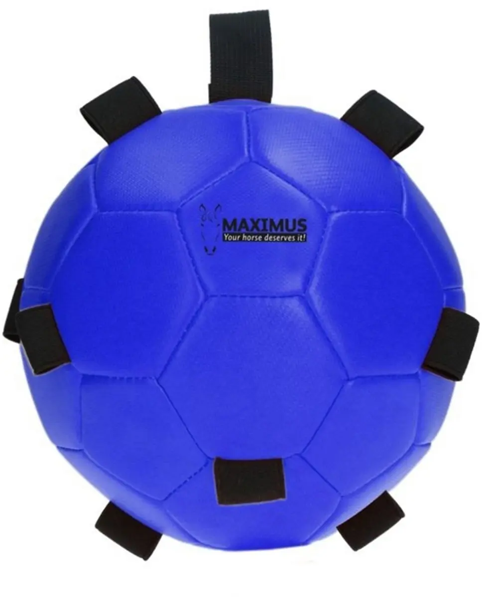 Maximus Fun Play Ball Ø19cm Paardenspeelgoed - Blauw