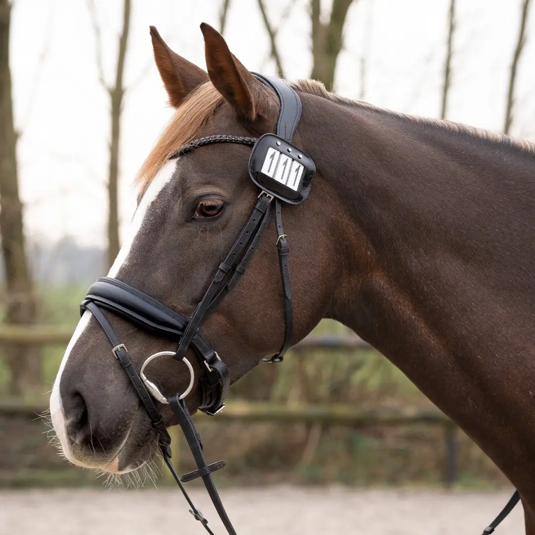 QHP Startnummer - Zwart