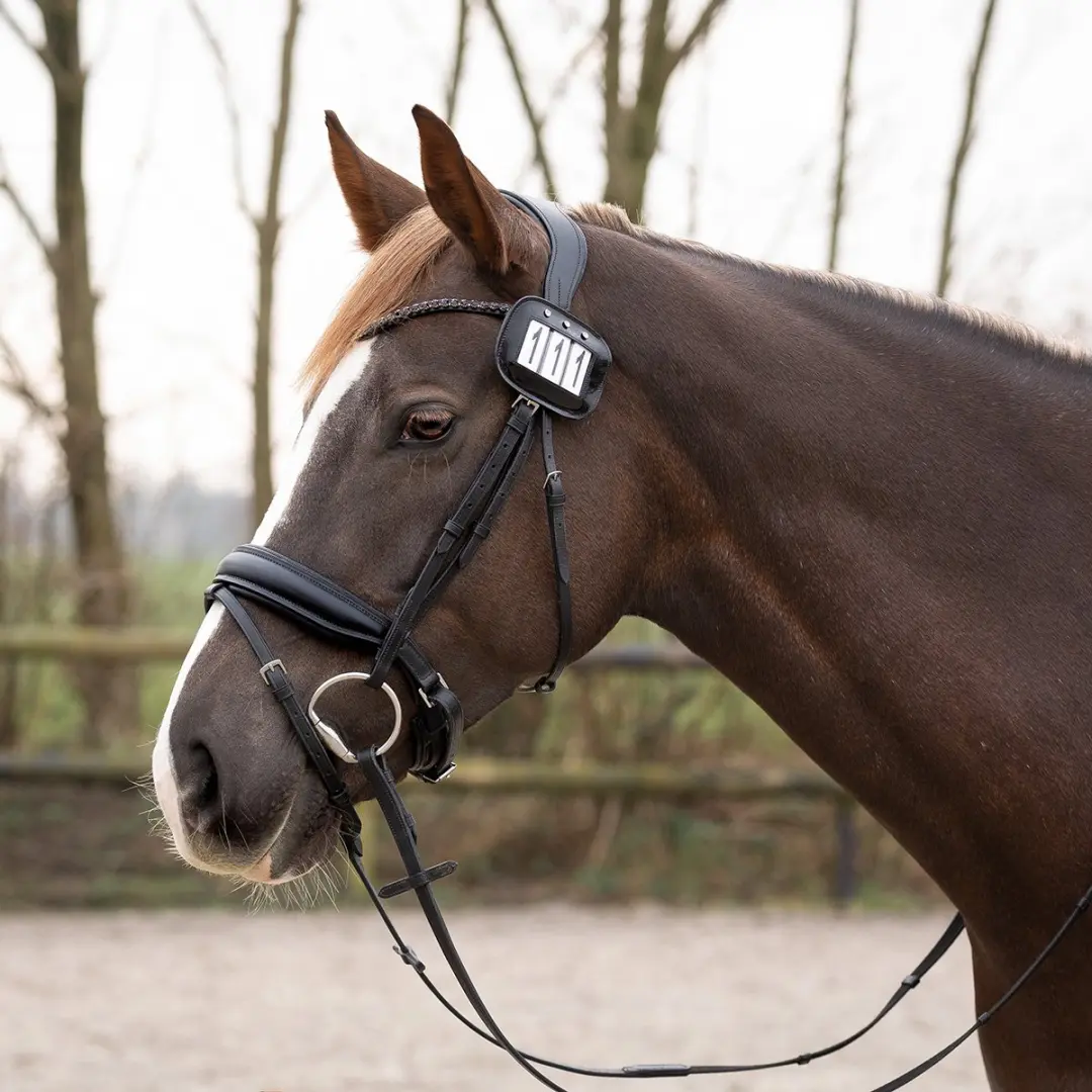 QHP Startnummer