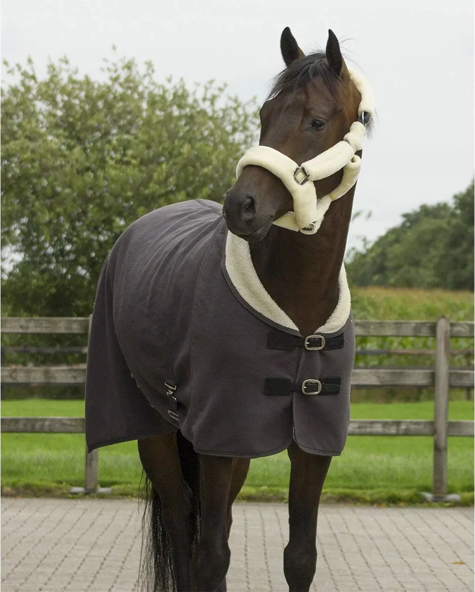 QHP Halster Alaska Shetlander - Grijs-beige