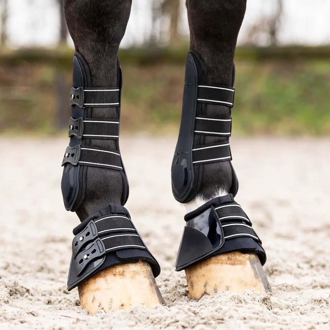 QHP Champion Springschoenen L - Zwart