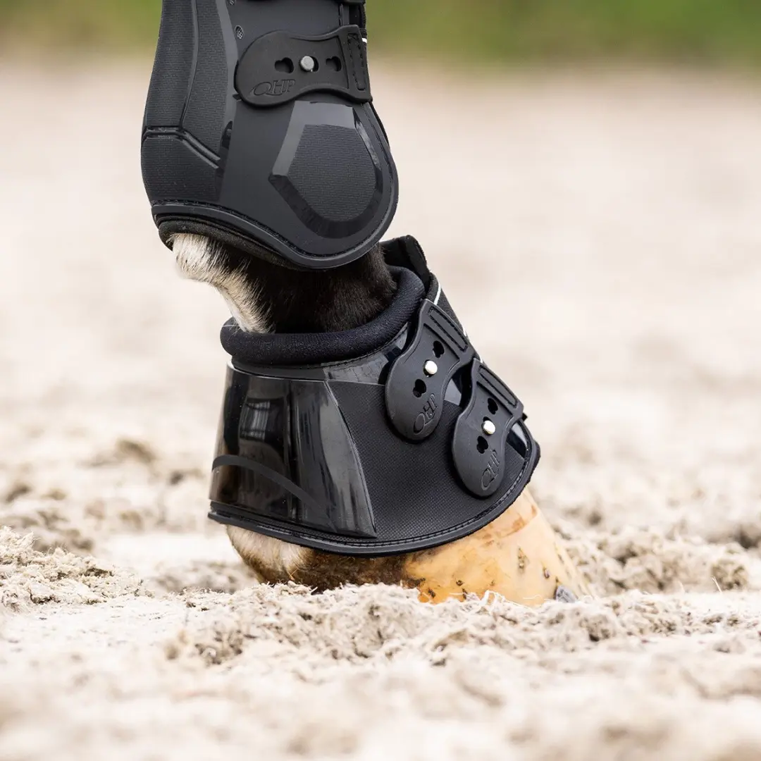 QHP Champion Springschoenen L - Zwart - afbeelding 6 van 6