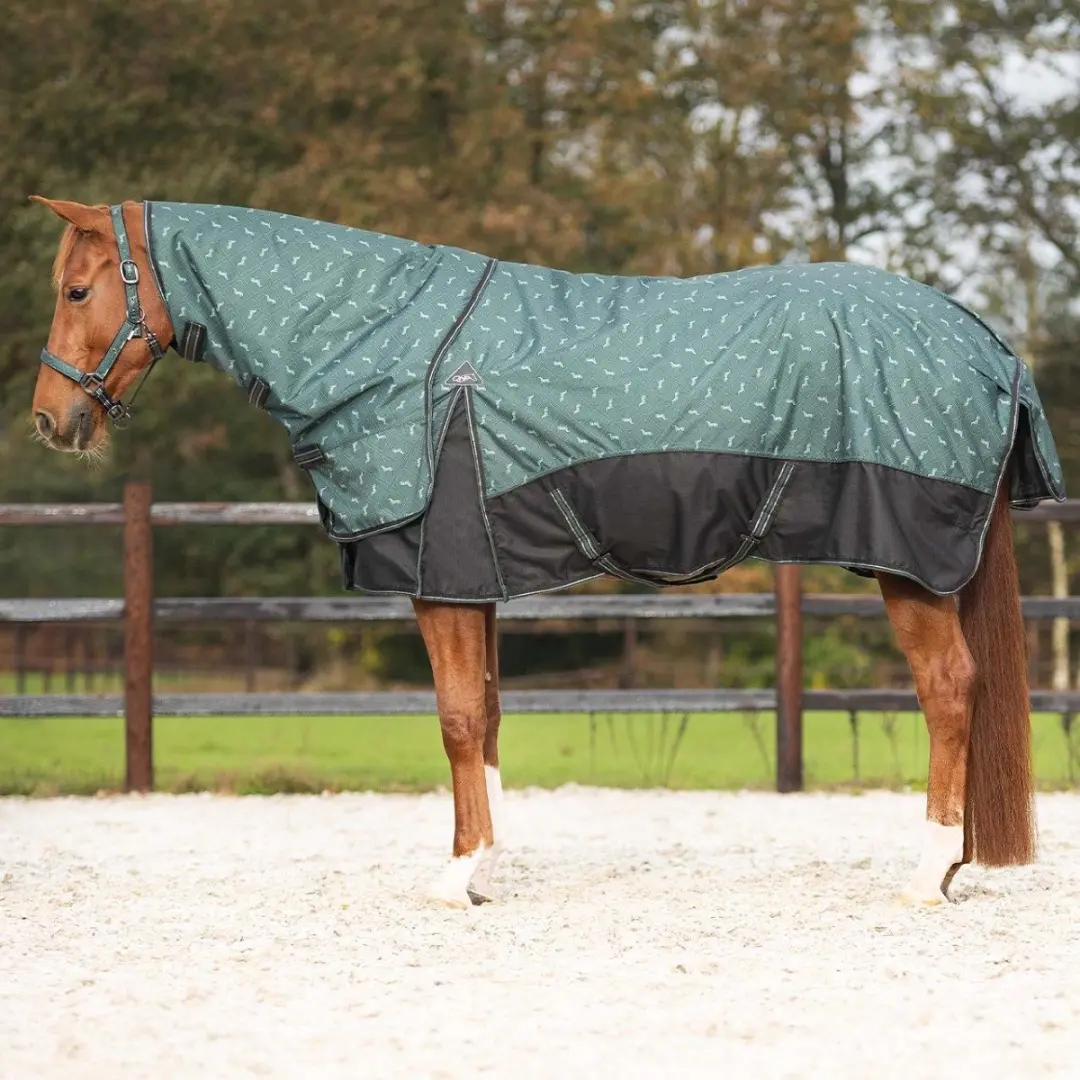 Regendeken 150gram met afneembare hals 1200D emeralda Buitendeken