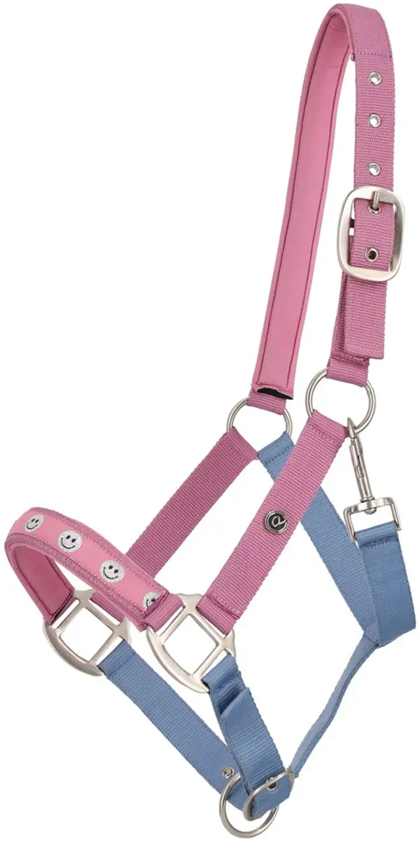 QHP HALSTER ROSALYNN Blauw-roze