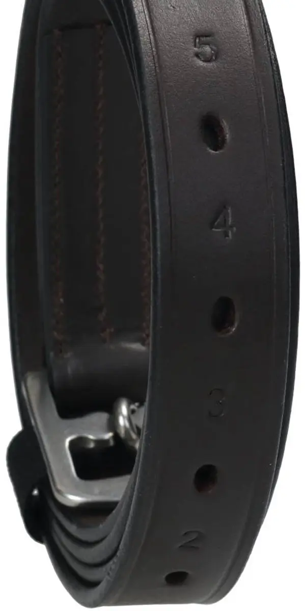 Epplejeck Beugelriemen V2 165cm
