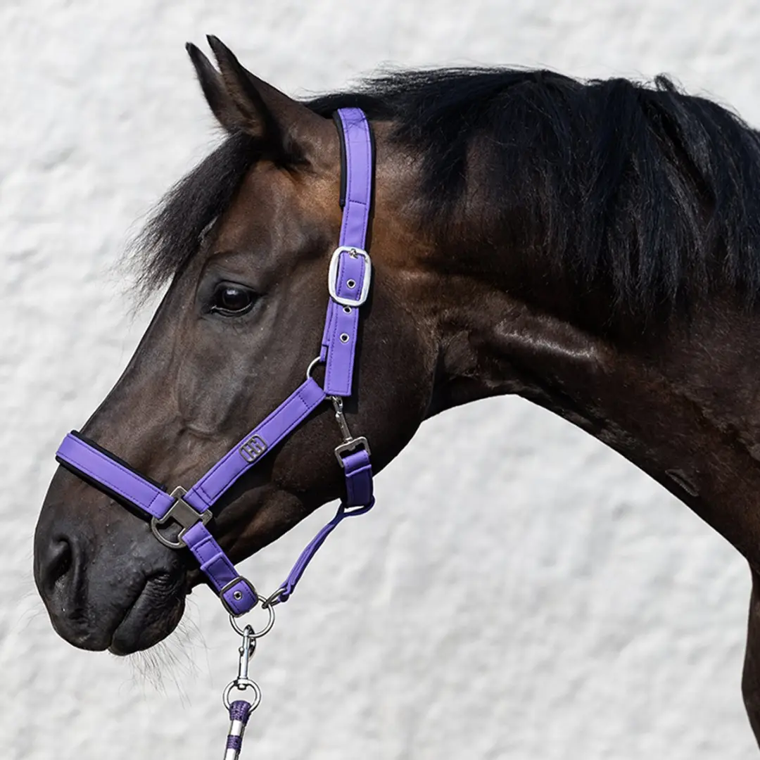 Horsegear Hgelisa Halsterset - Paars