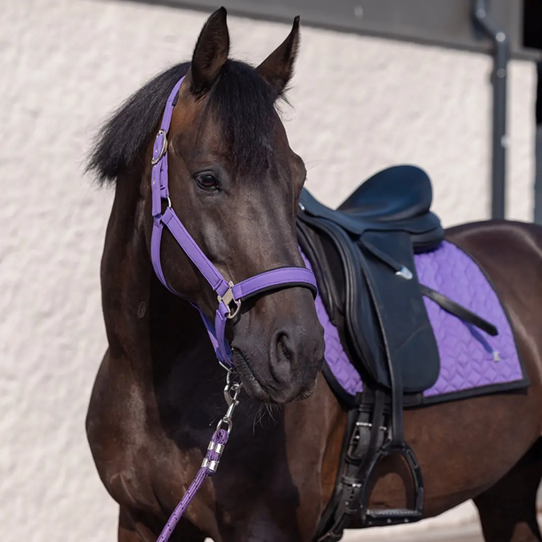 Horsegear Hgelisa Halsterset - Paars