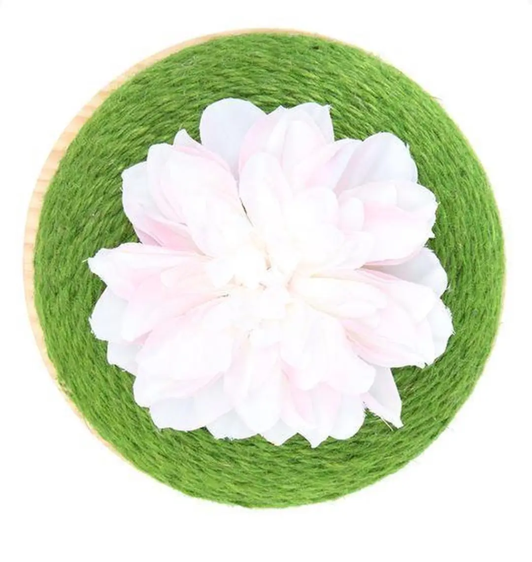 Nobleza Krabbol Cactus 40VQV - Groen