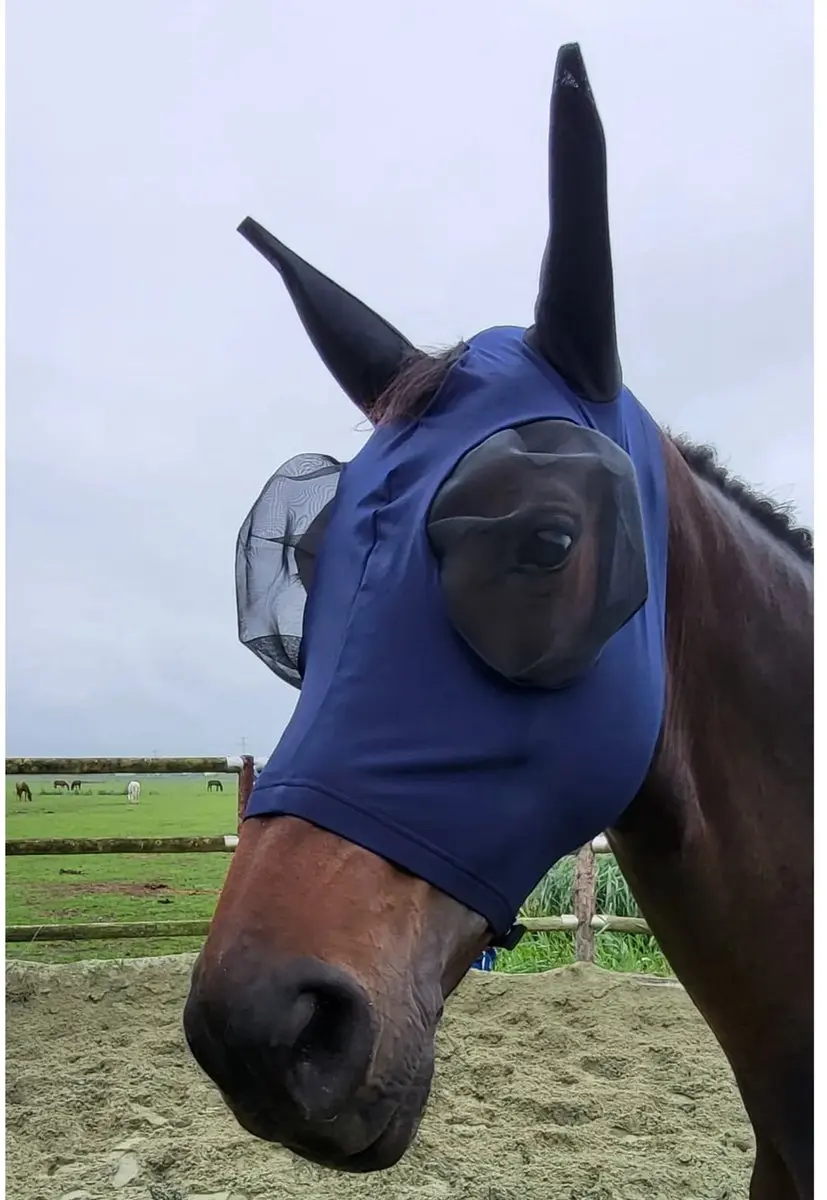 Pagony Easyfit Vliegenmasker S - Donkerblauw