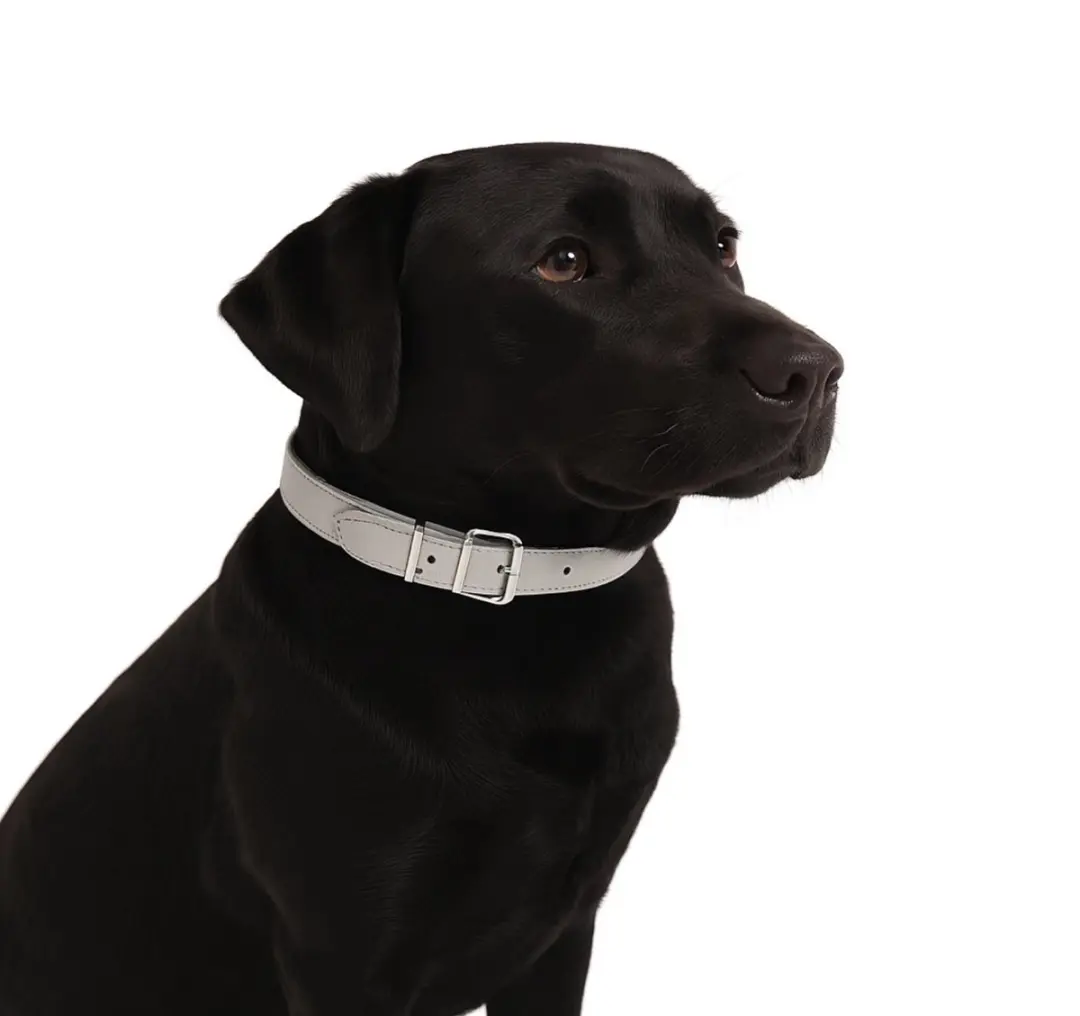 Nobleza Hondenhalsband Kunstleer 40-51cm Grijs