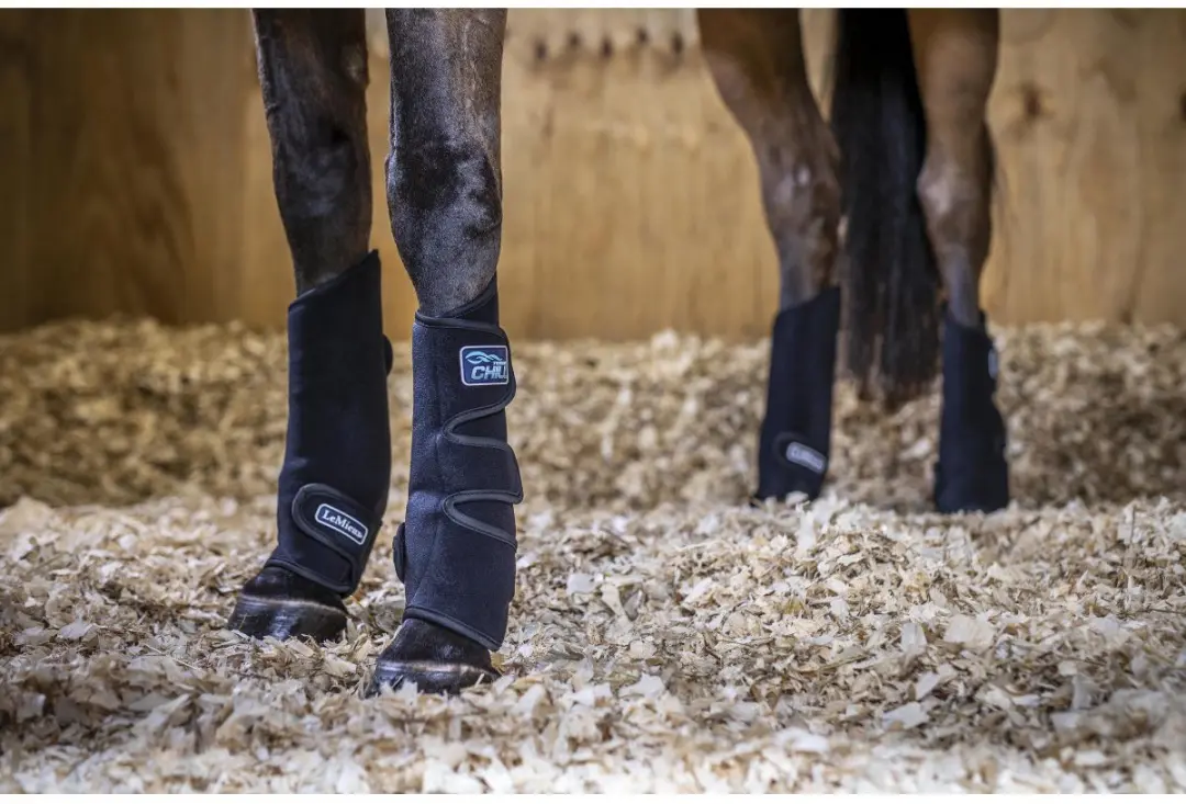 Lemieux Tendon Chill Boots - Verkoelend - afbeelding 2 van 6