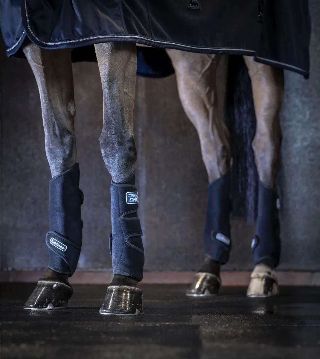 Lemieux Tendon Chill Boots - Verkoelend - afbeelding 4 van 6