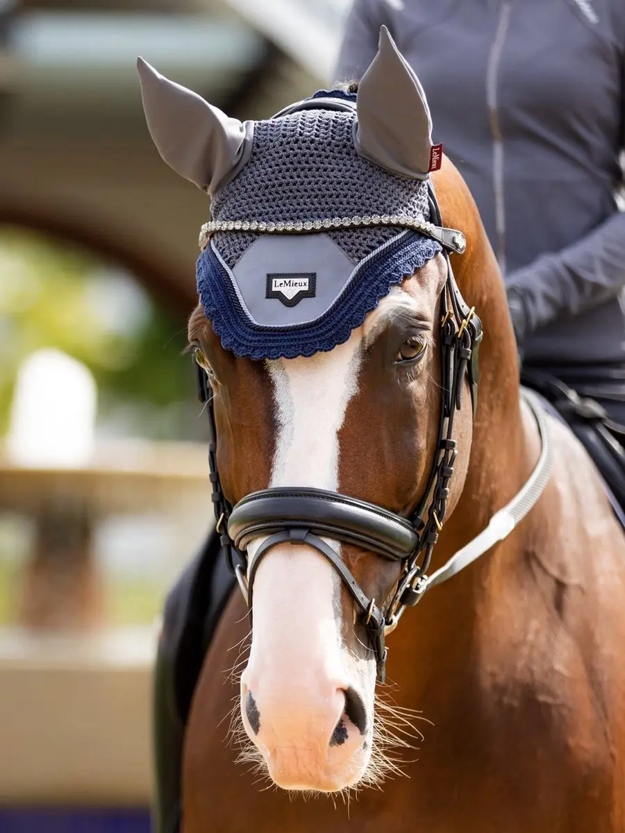 LeMieux Classic Frontriem Twilight Cob Zwart