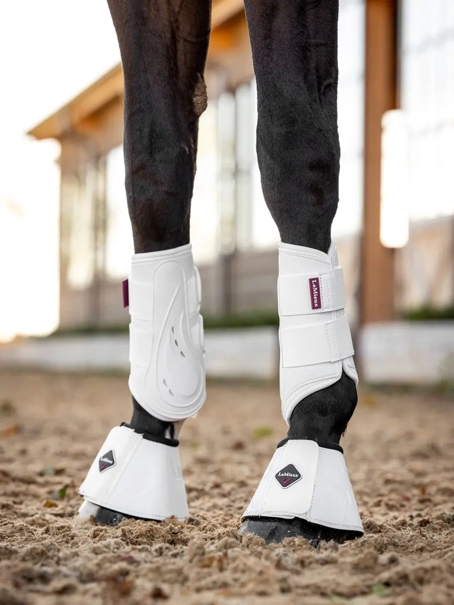 LeMieux Proshell Brushing Boots - L - Zwart