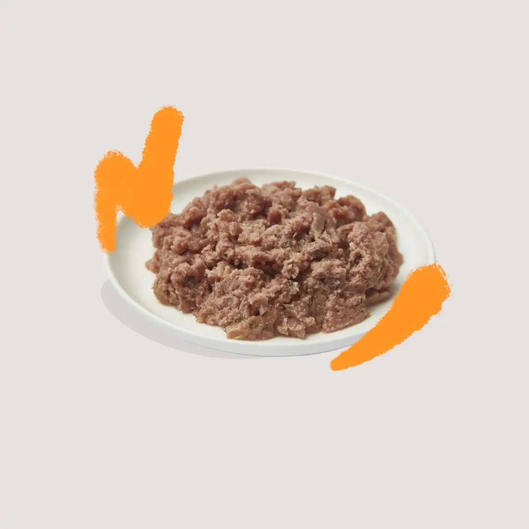 Edgard & Cooper Adult Pate Biologisch Kip 85g
