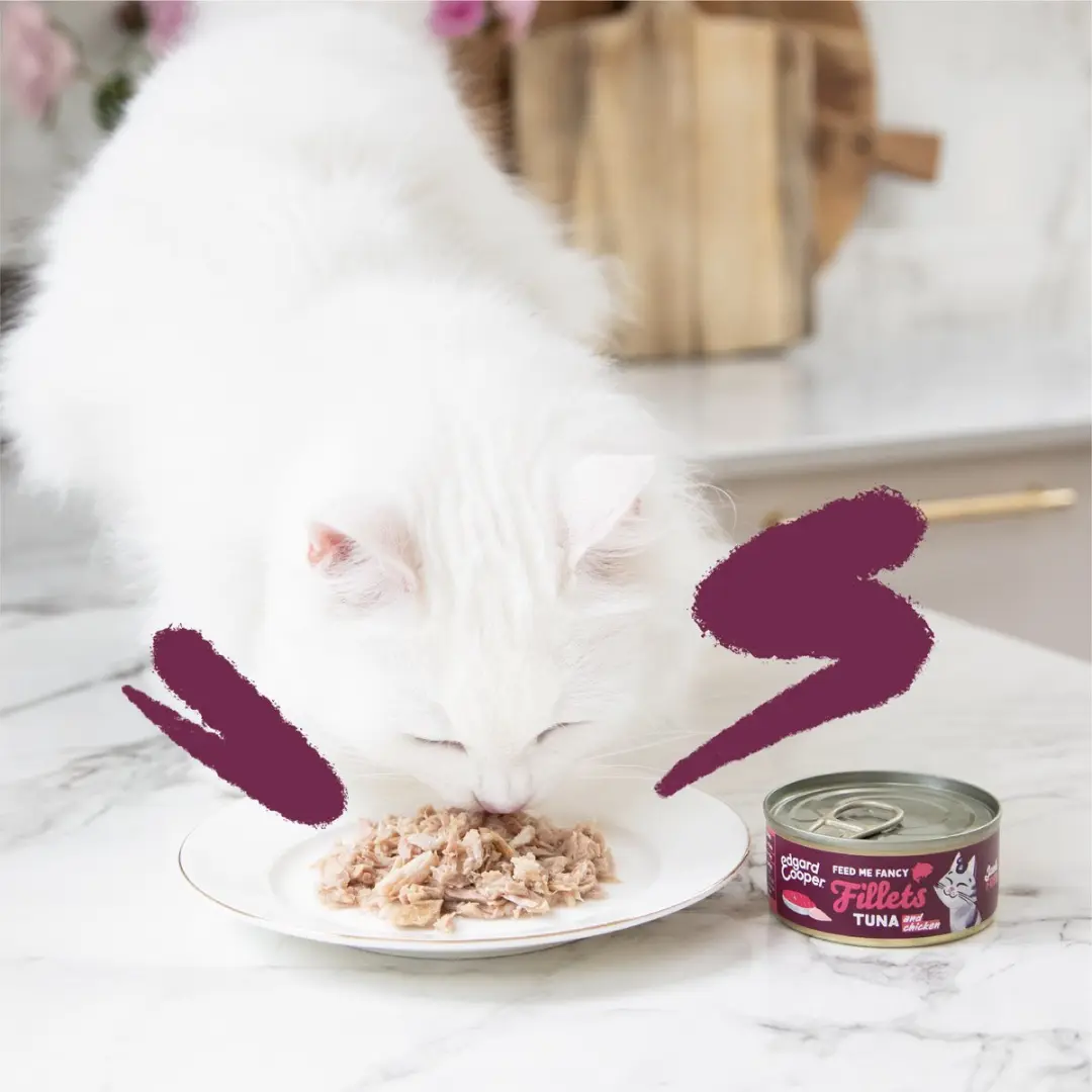 Edgard & Cooper Natvoer Kattenvoer Tonijn & Kip 70g - 24 Stuks