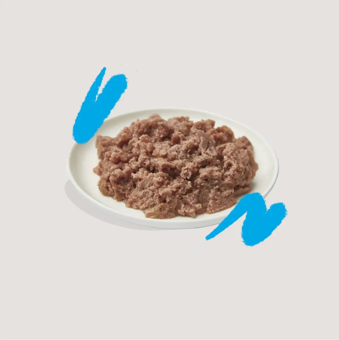 Edgard & Cooper Adult Pate Zalm - 85g - afbeelding 6 van 6