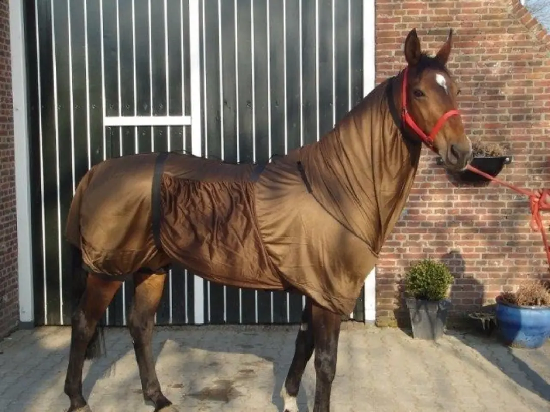 QHP Eczeemdeken 175/225cm - Bruin