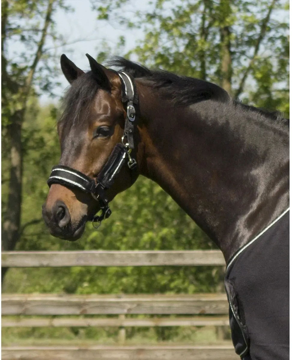 QHP Dolci Halsterset - Pony - Zwart-zilver