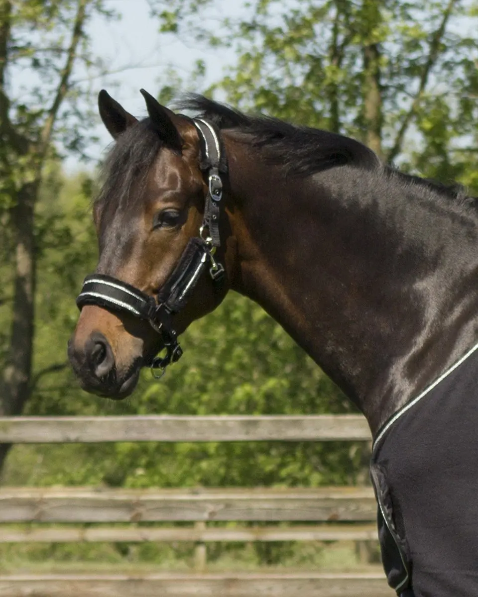 QHP Dolci Halsterset - Pony - Zwart-zilver