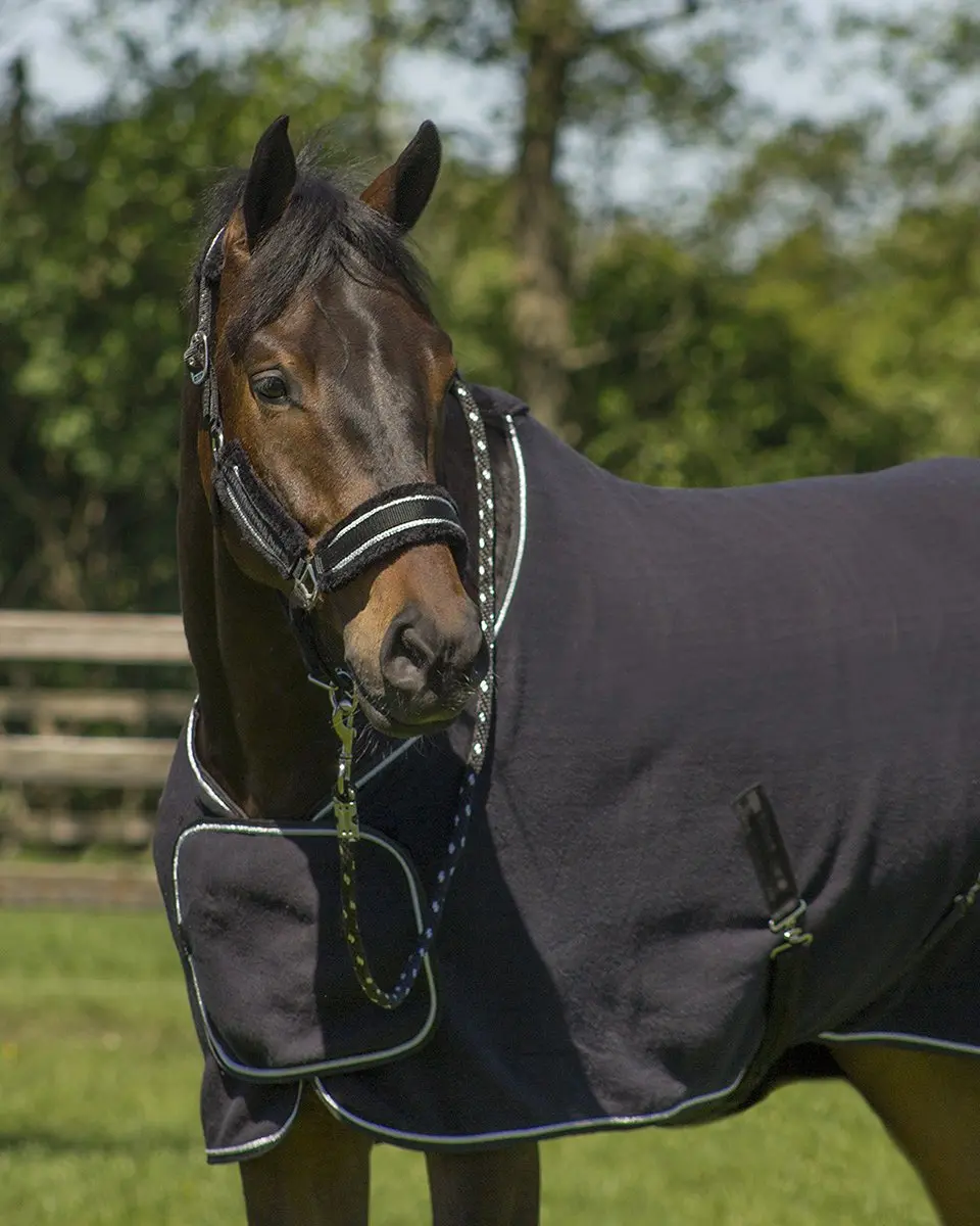 QHP Dolci Halsterset - Pony - Zwart-zilver