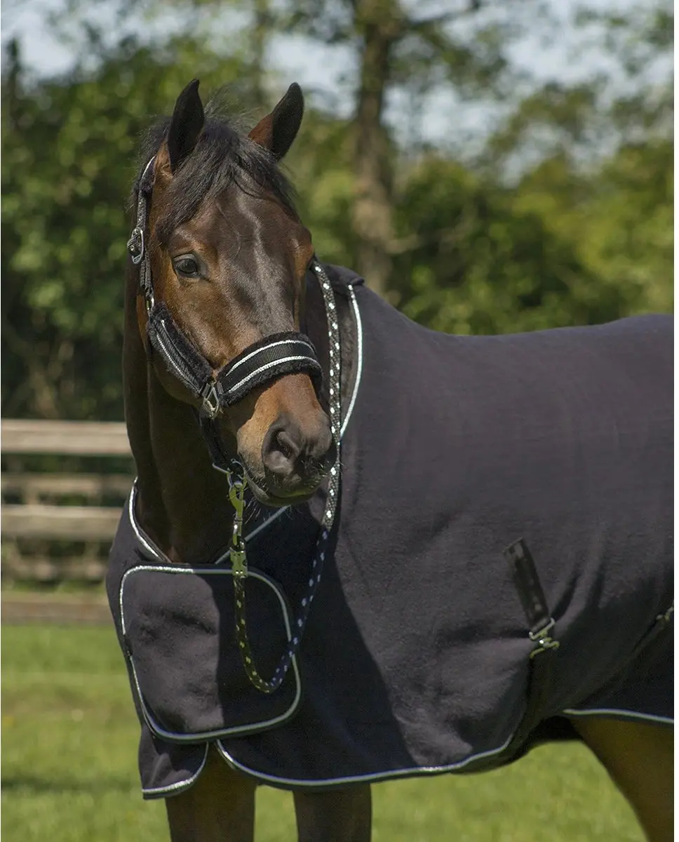 QHP Dolci Halsterset - Pony - Zwart-zilver