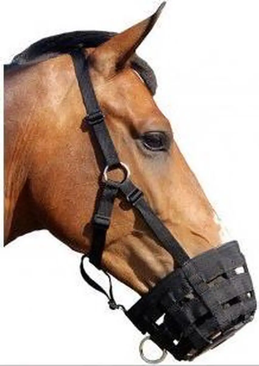 QHP Graasmasker Black Cob - Rood
