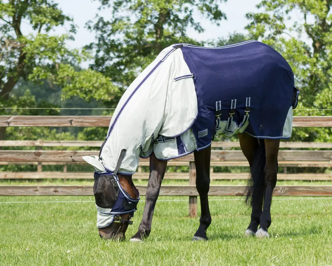 QHP Vliegendeken Zebra 105/145cm - 4-seizoenen - afbeelding 6 van 6