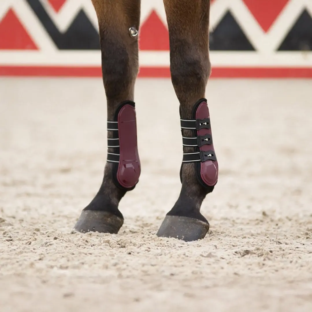QHP Champion Peesbeschermers Donkerrood - Full
