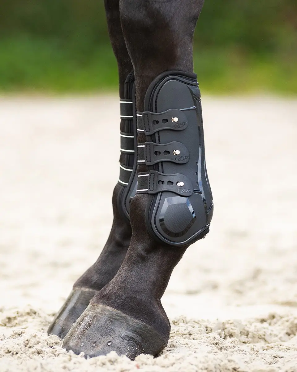 QHP Peesbeschermers Champion Zwart - Cob