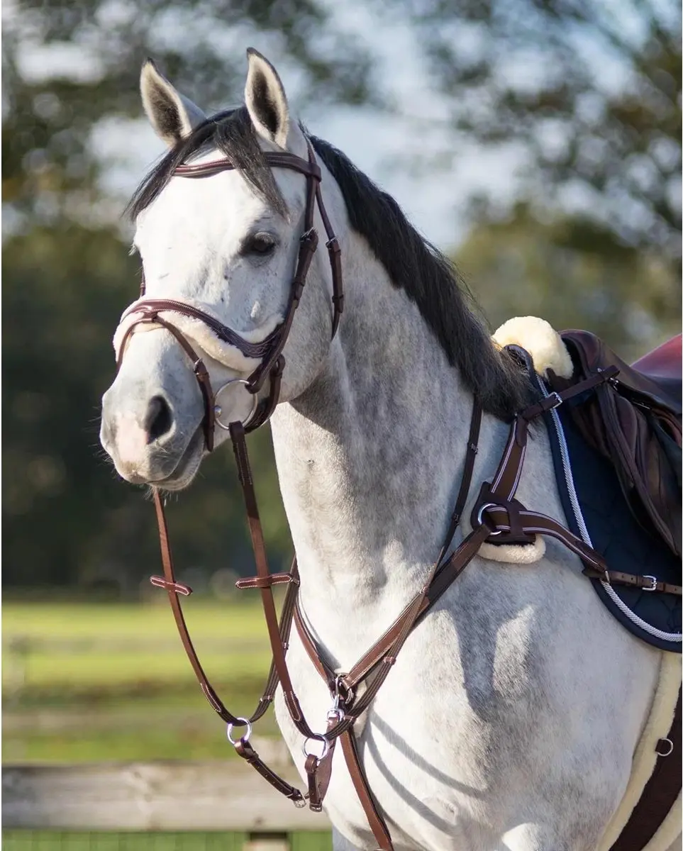 QHP Ontario Borsttuig - Full - Bruin