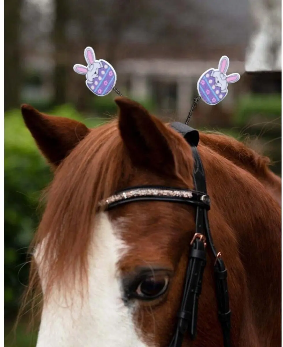 Hoofdsteun accessoire voor paarden QHP Easter