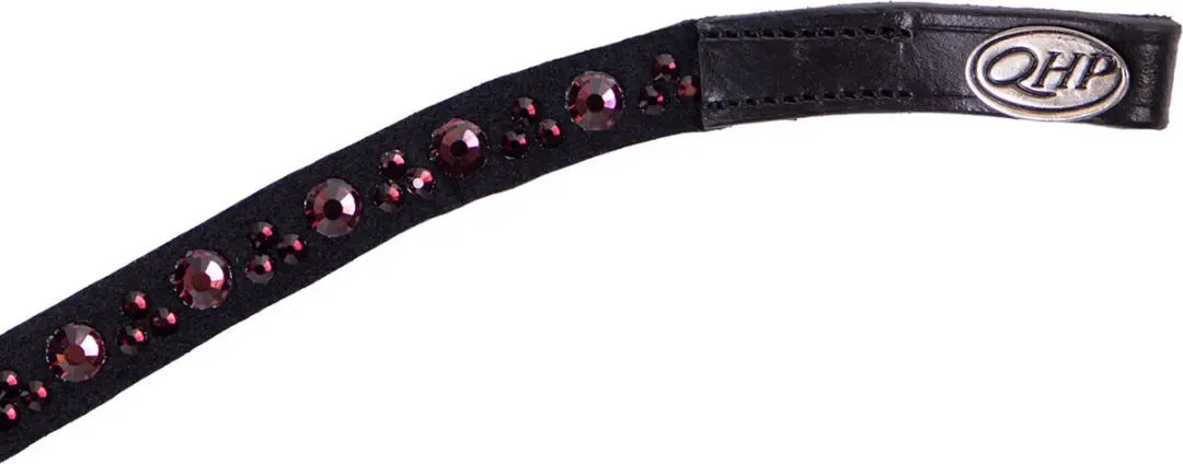 Qhp Frontriem Qhp Astana Rood