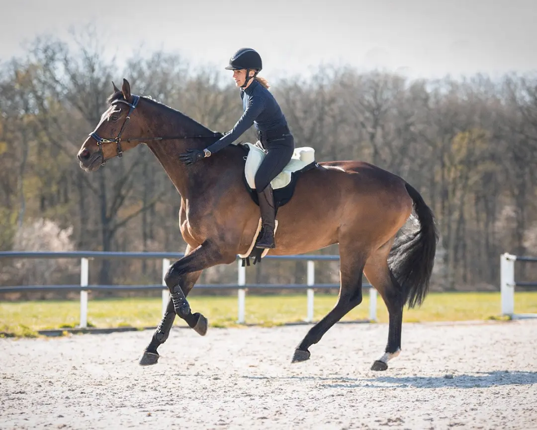 QHP Barebackpad Super Soft Pony - Crème/Zwart
