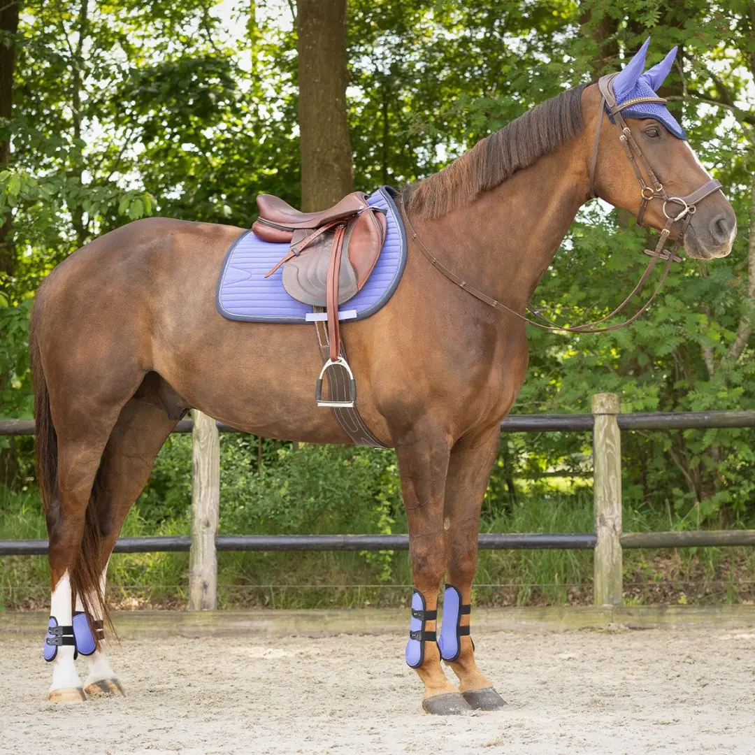 QHP Nyomi Zadeldek - Full - Purple Sunset - afbeelding 3 van 4