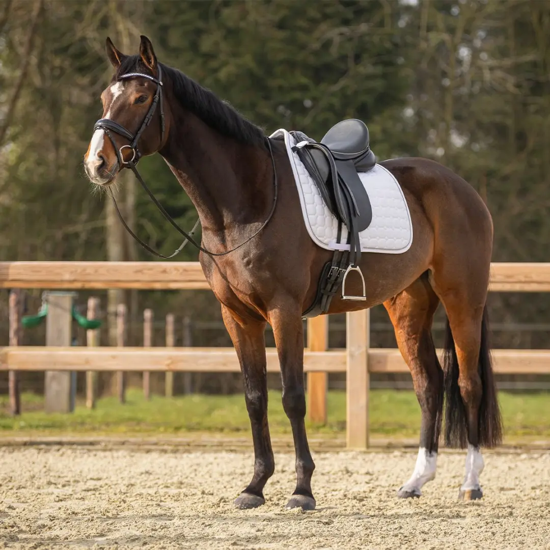 QHP Firenze Dressuur Zadeldek Pony - Wit - afbeelding 6 van 6