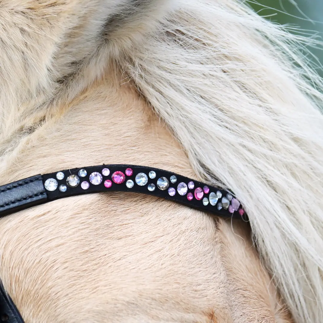 Epplejeck Ejrosa Hoofdstel - Cob - Zwart-roze