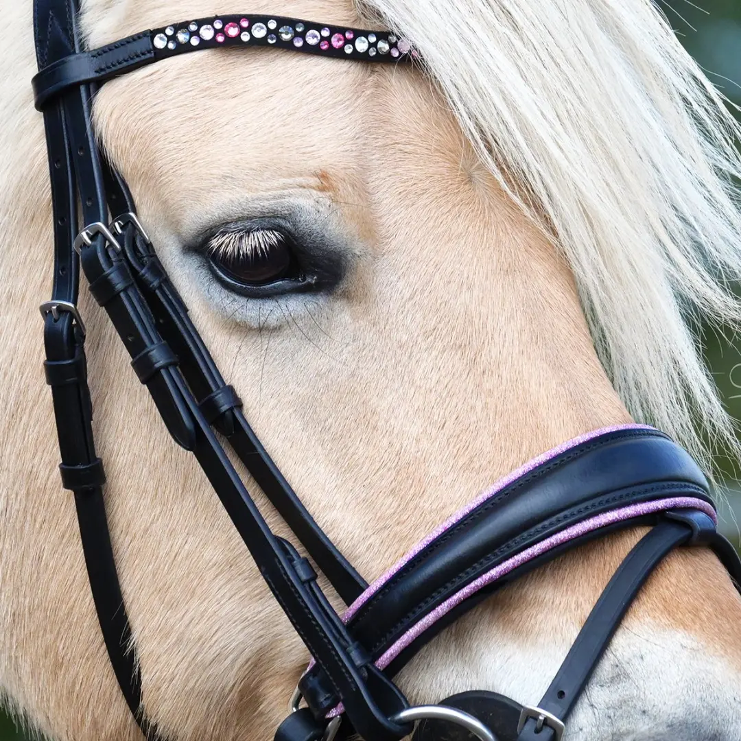Epplejeck Ejrosa Hoofdstel - Cob - Zwart-roze
