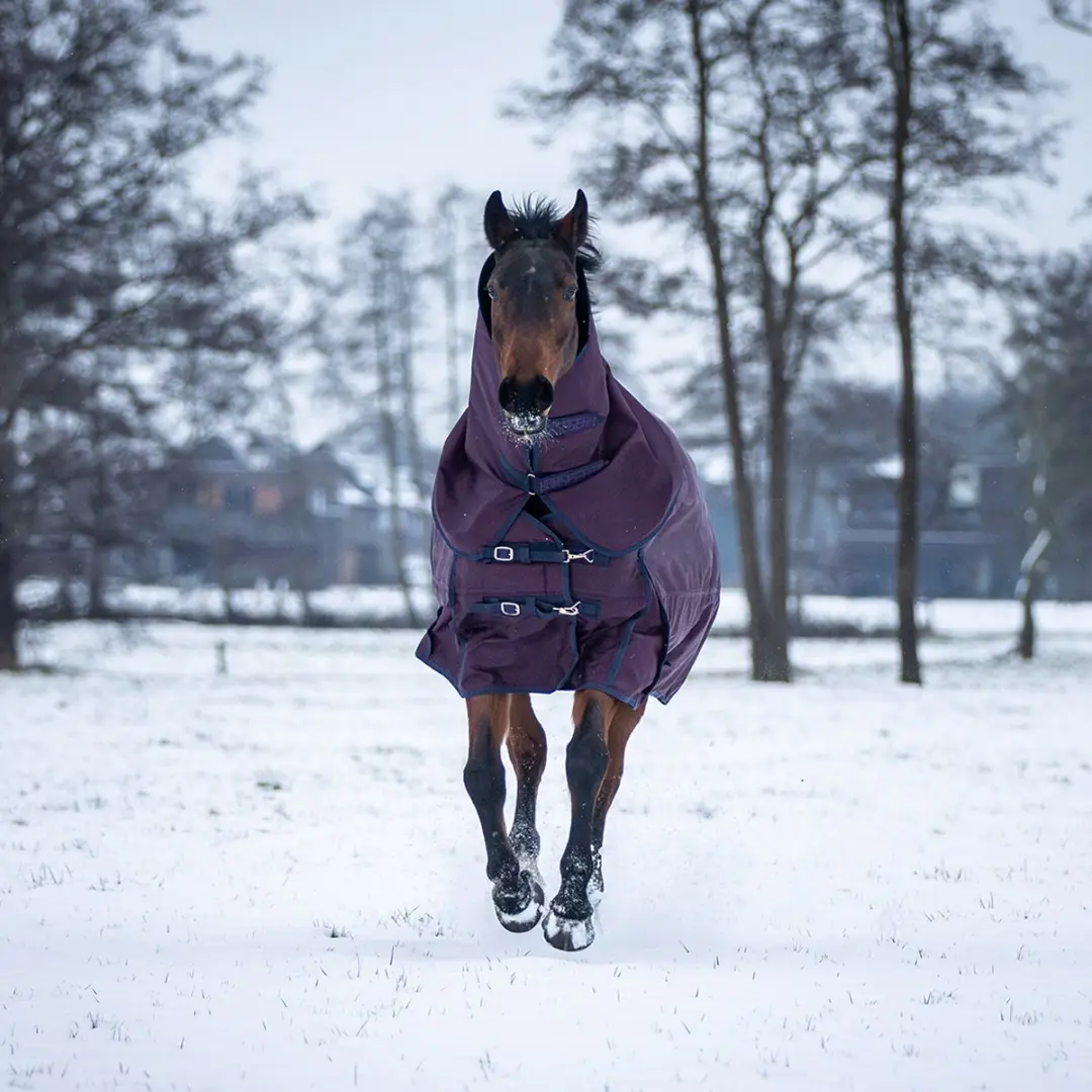 Horsegear HGE Extreme 200g Deken
